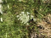 View photo in a new window