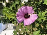 View photo in a new window