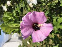 View photo in a new window