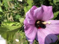 View photo in a new window