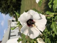 View photo in a new window