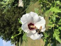 View photo in a new window