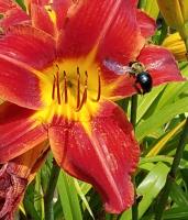 View photo in a new window