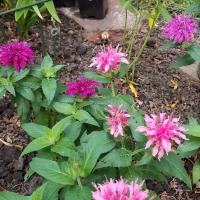 View photo in a new window