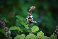 View photo in a new window