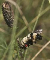 View photo in a new window