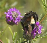 View photo in a new window