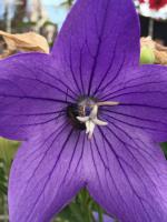 View photo in a new window