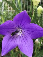 View photo in a new window