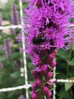 View photo in a new window