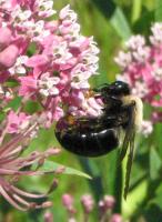 View photo in a new window