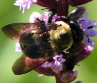 View photo in a new window