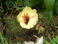 View photo in a new window