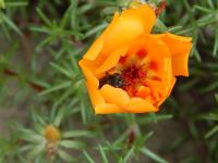 View photo in a new window