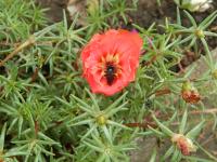 View photo in a new window