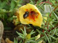 View photo in a new window