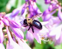 View photo in a new window