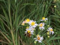 View photo in a new window