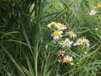 View photo in a new window