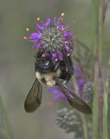 View photo in a new window