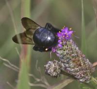 View photo in a new window