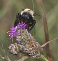 View photo in a new window