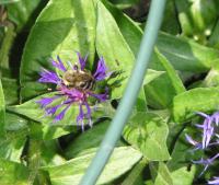 View photo in a new window