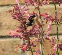 View photo in a new window