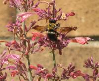 View photo in a new window