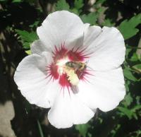 View photo in a new window