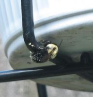 View photo in a new window