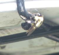 View photo in a new window