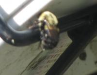 View photo in a new window