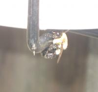 View photo in a new window