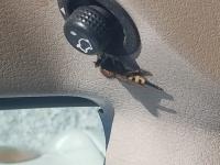 View photo in a new window