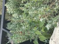 View photo in a new window