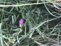 View photo in a new window