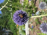 View photo in a new window