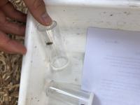 View photo in a new window