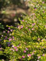 View photo in a new window