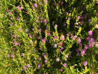 View photo in a new window