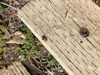 View photo in a new window