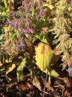 View photo in a new window