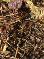 View photo in a new window