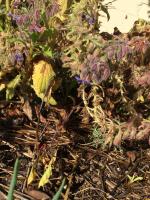 View photo in a new window