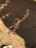 View photo in a new window