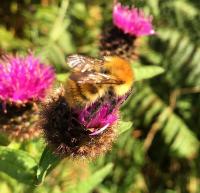 View photo in a new window