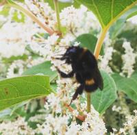 View photo in a new window