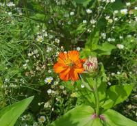 View photo in a new window