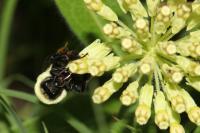 View photo in a new window